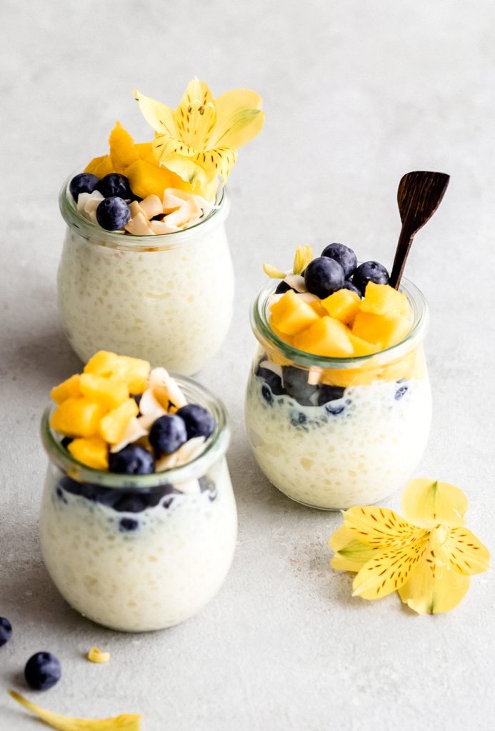 tropical tapioca pudding