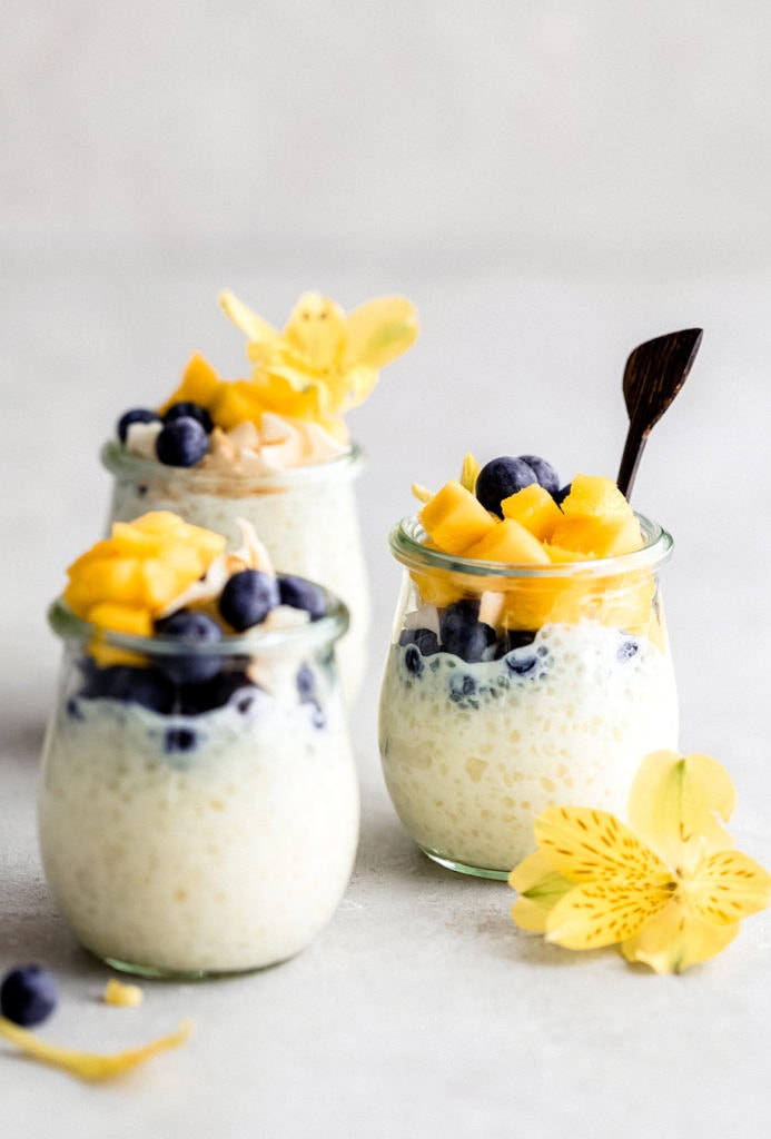 tropical tapioca pudding