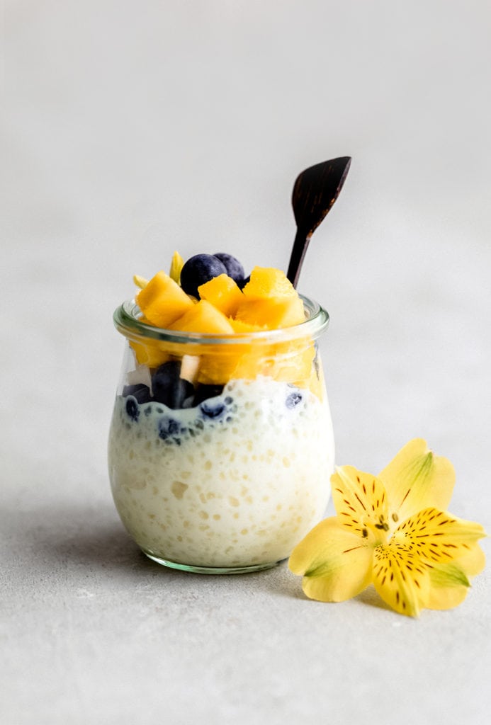 tropical tapioca pudding