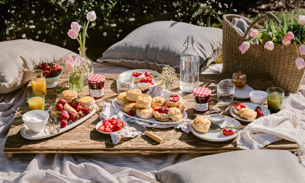 strawberry shortcake picnic